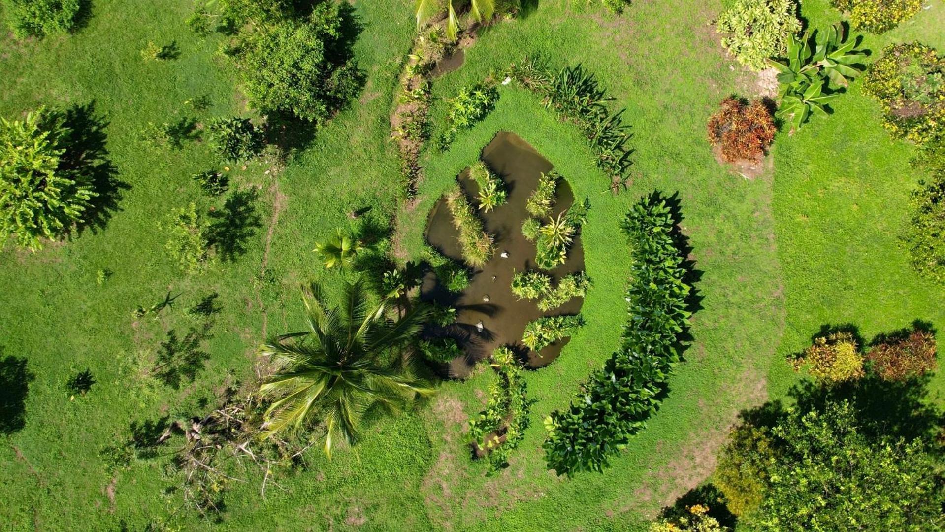 Eden Corcovado Villa San Pedrillo Eksteriør billede