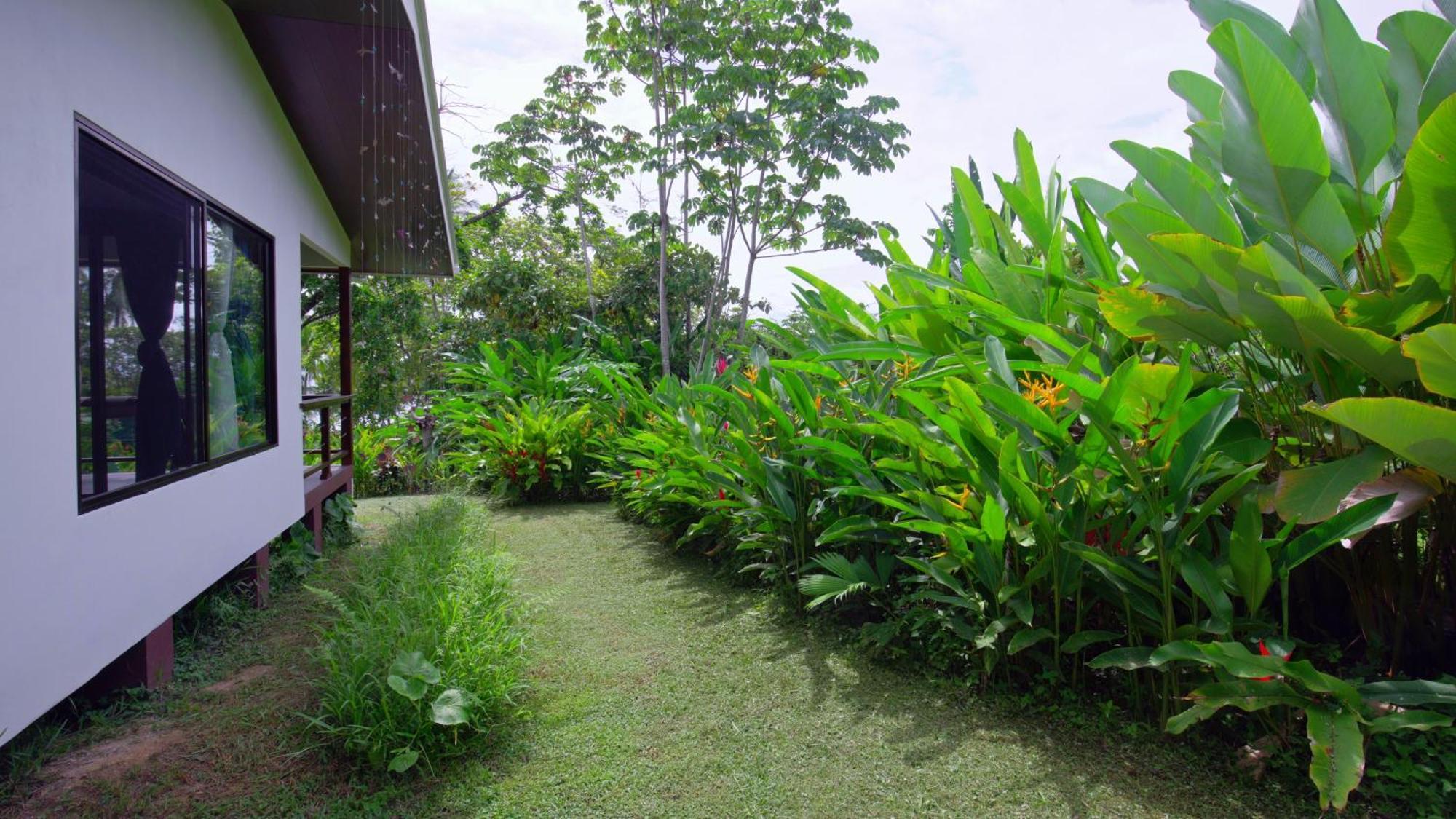 Eden Corcovado Villa San Pedrillo Eksteriør billede